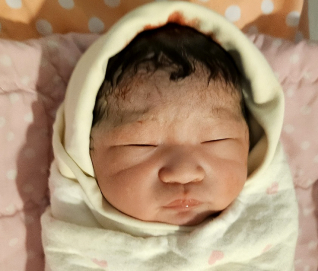 서지향아가
