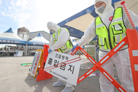 정부, 경북지역 아프리카돼지열병 확산 차단 총력