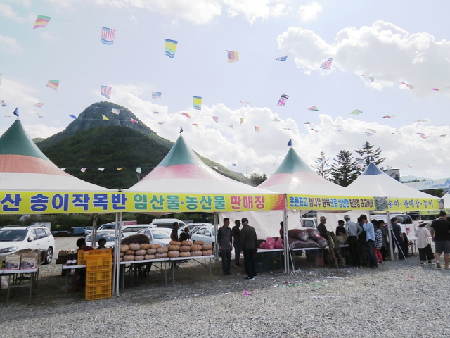 사진은 지난해 열린 청도 운문산 송이·능이·표고버섯 축제.