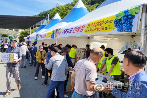 지난해 경산남천맥반석포도축제의 판매 현장 모습. 경산시 제공