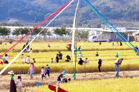 재밌는 건 다있다…메뚜기잡이·고구마캐기·떡메치기