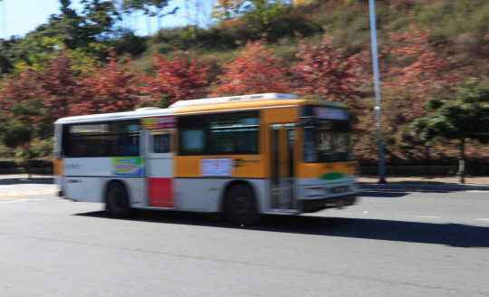 울산 도심을 운행 중인 시내버스. 기사 내용과 관련 없음. 울산시청