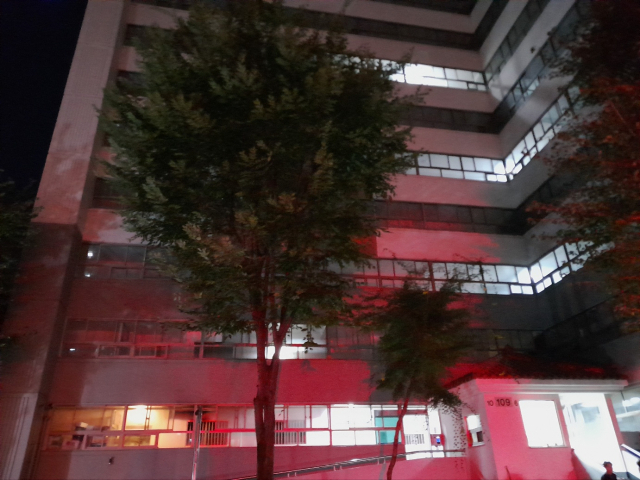 8일 오후 6시 40분쯤 대구 달서구 상인동의 한 아파트에서 방화로 추정되는 불이 났다. 대구소방안전본부 제공