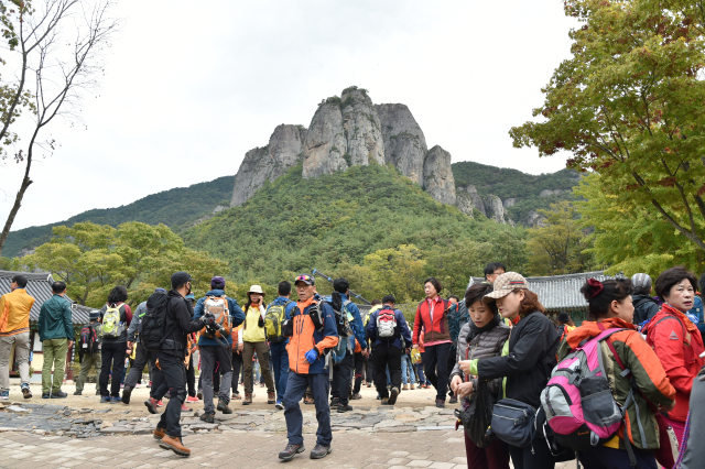 산행을 위해 주왕산 입구를 찾은 관광객들. 사진은 대전사에서 주왕산 기암을 올려보는 방향으로 촬영됐다. 청송군 제공