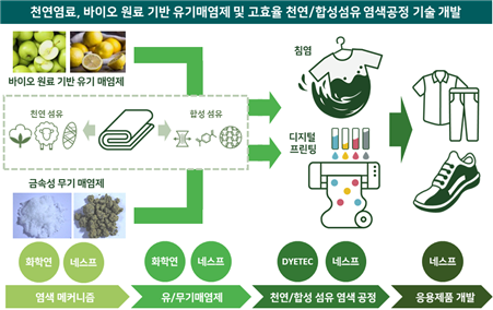 천연염료/유기매염제 적용 고효율 염색공정 개발. 다이텍연구원 제공