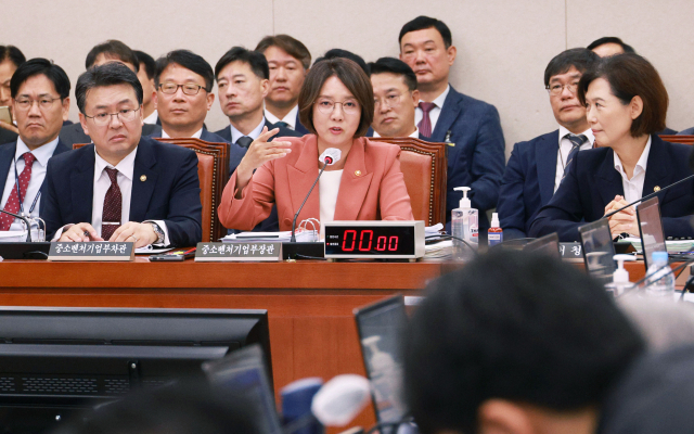 이영 중소벤처기업부 장관이 12일 국회에서 열린 산업통상자원중소벤처기업위원회 국정감사에서 의원 질의에 답하고 있다. 연합뉴스