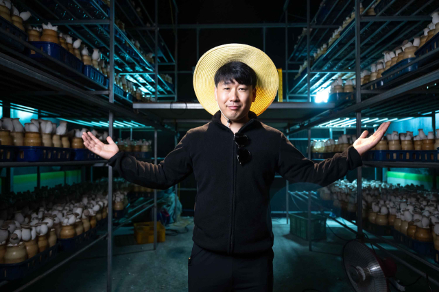 전라남도 함평의 