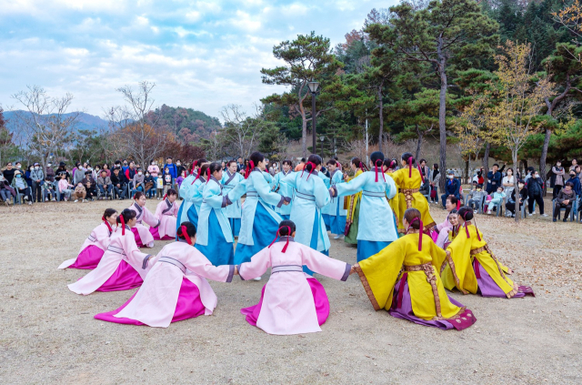 안동 놋다리밟기 상설공연이 지난 14일 첫 공연을 시작으로 11월 4일까지 매주 토요일 안동 개목나루에서 펼져친다. 안동시 제공