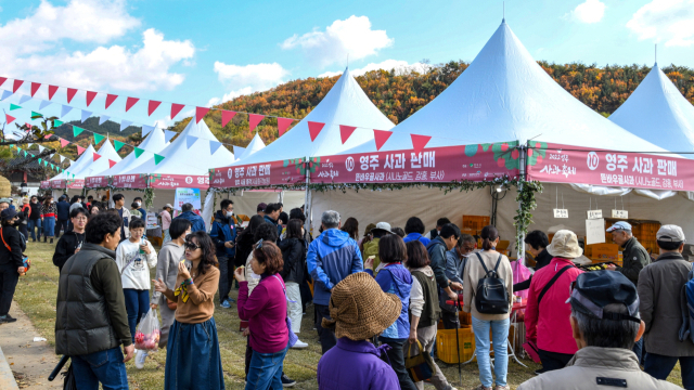 지난해 열린 영주사과 축제장에 구름 인파가 몰렸다. 영주시 제공