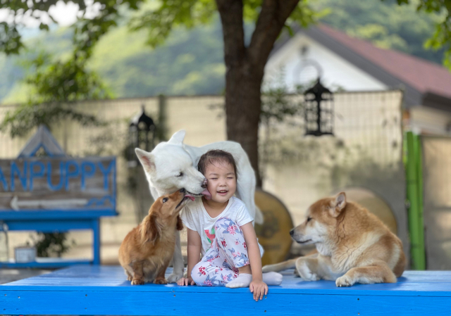 경북도 동물사랑사진공모전 대상작 