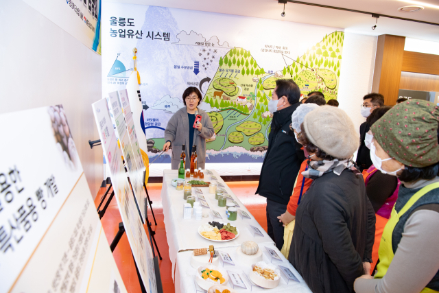 경상북도농업기술원은 23일 울릉군 특산물을 활용한 다양한 가공품을 개발해 울릉공항 개항에 발맞춘 100만 관광객 목표를 달성할 방침이라고 밝혔다. 울릉도 특산물 가공식품 품평회. 경북도 제공
