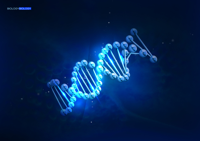 DNA 자료 사진. 게티이미지뱅크