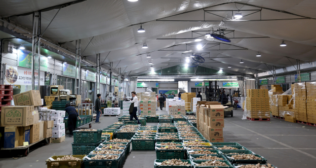 화재 이후 임시 운영 3년...매천시장 농산A동 재축 막바지   