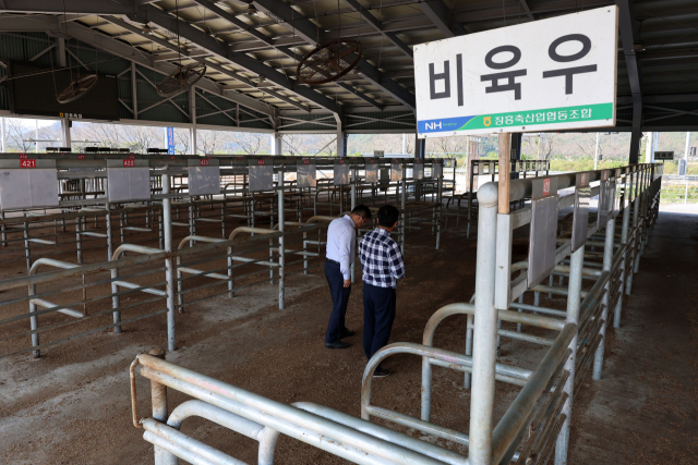 25일 전남 장흥 가축시장이 폐쇄돼 있다. 매주 수요일 개장하는 장흥축협 가축시장이 소 바이러스성 질병인