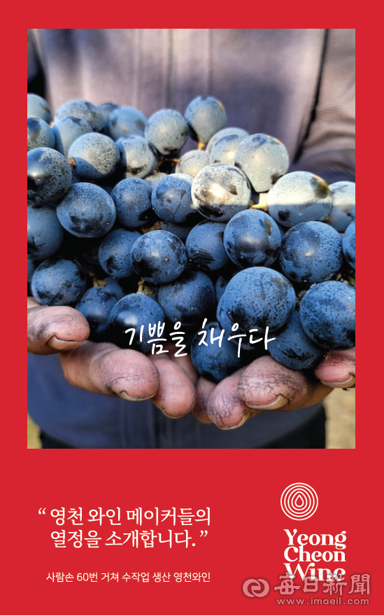 영천와인 로고 이미지. 매일신문DB