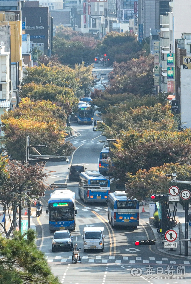 대구 중구 대중교통전용지구 북편 구간이 해제되면서 일반 차량의 통행이 허용된 1일 승용차와 이륜차, 시내버스가 중앙네거리~대구역네거리 구간을 통행하고 있다. 안성완 기자 asw0727@imaeil.com