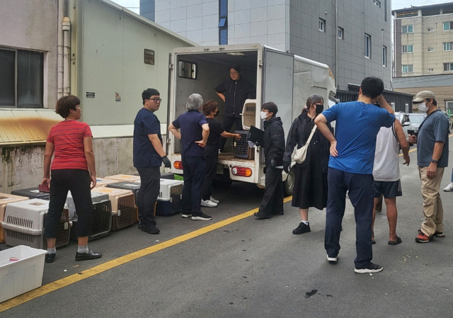 지난 9월 17일 안강읍 한 다가구 주택에서 경주시‧경찰·동물보호단체·시의회 관계자들이 학대동물을 구조하고 있다. 경주시 제공