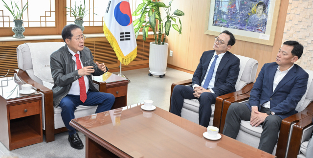 홍준표 대구시장이 3일 시청 산격청사에서 김완표 삼성글로벌리서치 사장(오른쪽에서 두번째)과 만난 자리에서 대구경북신공항 건설 사업의 경제 효과에 대해 설명하고 있다. 대구시 제공.