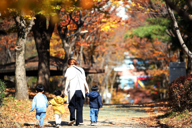 3일 광주 북구 일곡제1근린공원 산책로에서 단풍이 물든 가로수 사이로 어린이집 교사와 아이들이 산책을 하고 있다. 연합뉴스