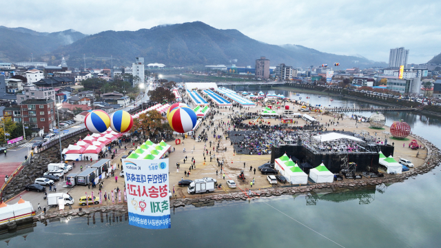 1~5일 청송군 청송읍 용전천 현비암 일원에서 열린 청송사과축제에 구름 인파가 몰린 모습. 청송군 제공