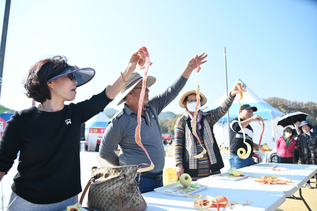 청송사과축제에서 사과껍질 길게 깎기 대회가 펼쳐진 모습. 청송군 제공