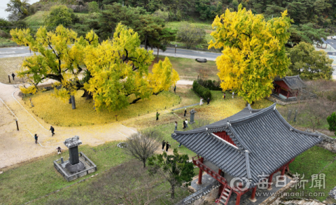 12월 19일 자 시사상식 퀴즈