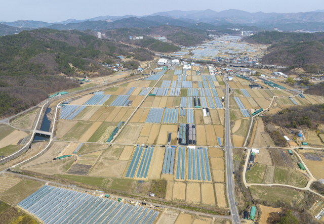 대구 달성군 상공에서 바라본 대평리 일대. 매일신문DB