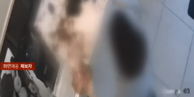 한 모녀가 환풍기 소리가 시끄럽다며 카페를 찾아 오물을 투척하고 난동을 부렸다. JTBC