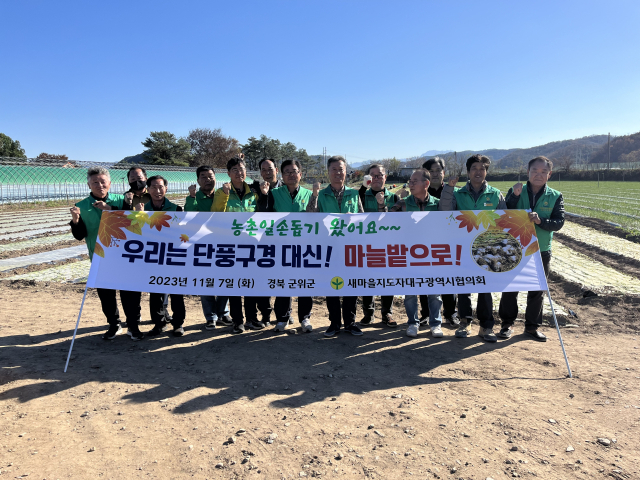 대구 새마을회 회장단과 회원들이 군위군 우보면 이화리 마늘밭에서 마늘 유인 작업 일손을 도왔다. 군위군 제공