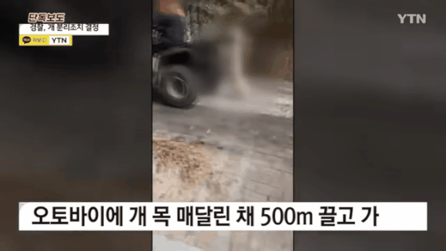 오토바이에 개를 매달고 500m를 주행한 남성이 경찰에 붙잡혔다. YTN 보도 캡처