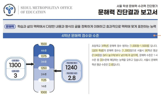 서울 학생 문해력·수리력 진단평가 진단결과 보고서 예시. 서울시교육청 제공