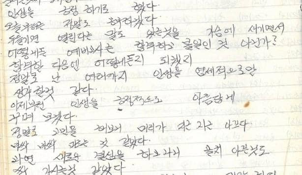 이재명 페이스북 캡처