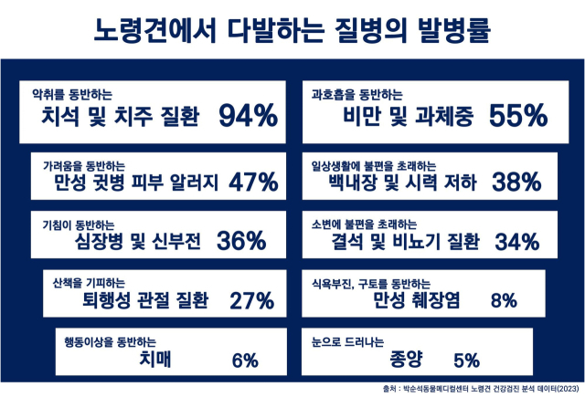 노령견에서 다발하는 질병의 발병률.출처 박순석동물메디컬센터 노령견 건강검진 분석 데이터.