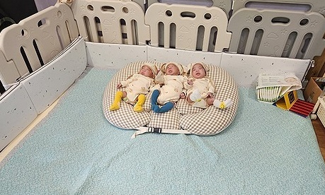 횡성군 안흥1리 세쌍둥이. 횡성군 제공