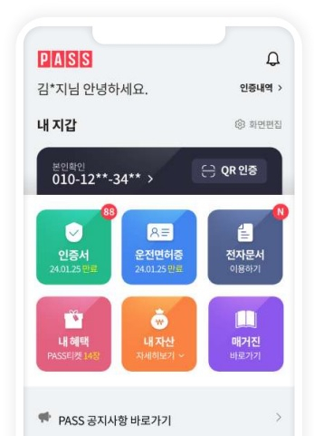 PASS 초기화면. PASS 제공.