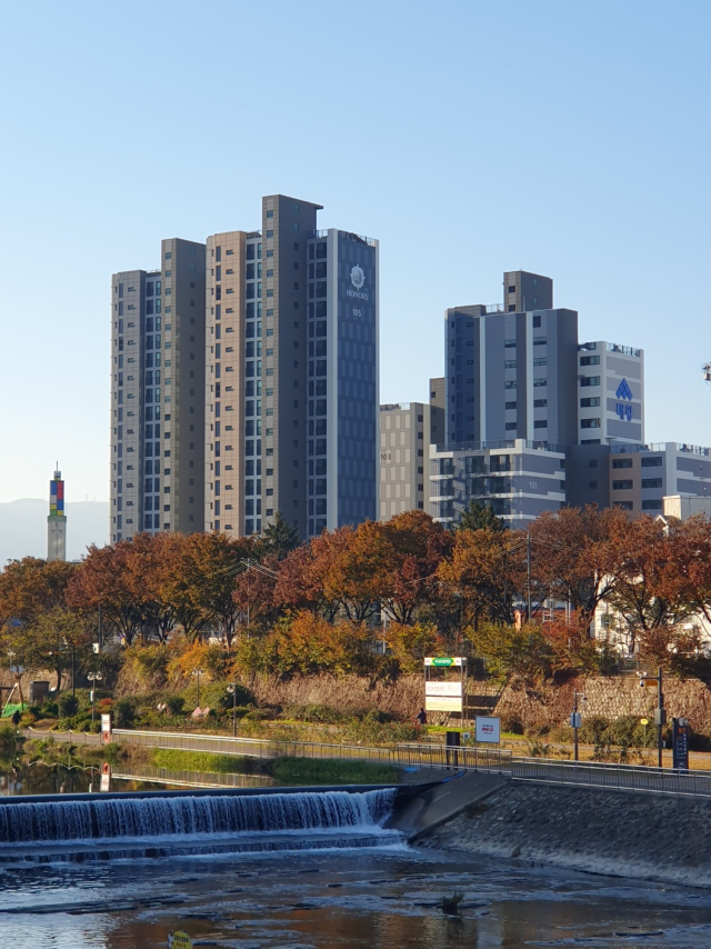 대구 중구 동인동 