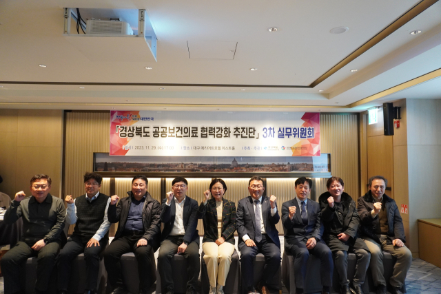 경상북도 공공보건의료 협력강화 추진단 29일 대구 메리어트호텔에서 3차 실무위원회를 마치고 기념촬영을 하고 있다. 경북도 제공