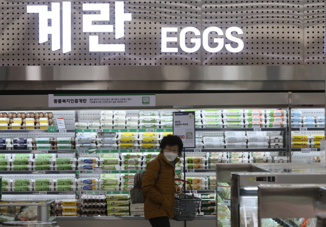 서울 시내 한 대형마트에 계란 판매대 모습. 연합뉴스