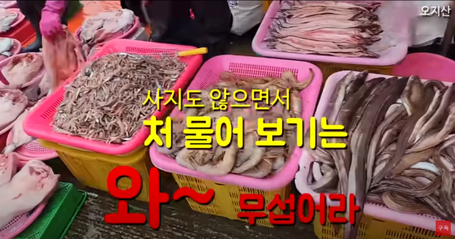 유튜브 채널 오지산TV 화면 캡처.