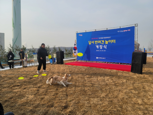 6일 열린 달서반려견놀이터 개장식에서 계명문화대 펫토탈케어학부 학생들이 훈련견과 함께 공연을 펼치고 있는 모습. 박성현 기자