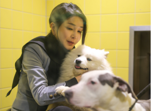 네덜란드를 국빈 방문한 윤석열 대통령의 부인 김건희 여사가 12일(현지시간) 암스테르담 동물보호재단의 반려견 거주공간에서 주인에게 오랜 기간 학대 당하고 굶주리다 구조돼 보호 중인 강아지들을 쓰다듬고 있다. 연합뉴스