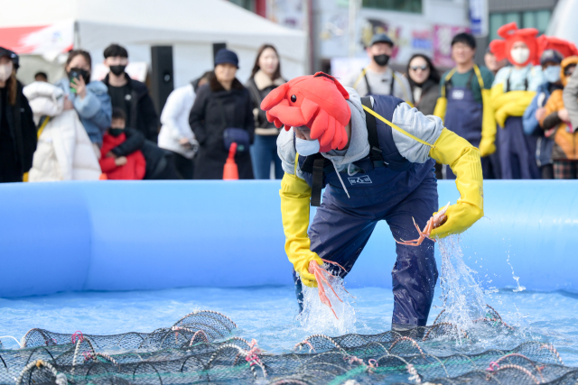 지난해 영덕대게축제 모습. 매일신문 DB