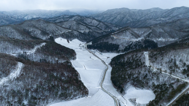 따뜻한 날씨가 물러가고 한파가 찾아온 16일 강원 남부 산지의 대설특보 영향으로 인접 지역인 경북 북부 산지에도 많은 눈이 내렸다. 사진은 기사 내용과 관계 없음. 김영진 기자 kyjmaeil@imaeil.com
