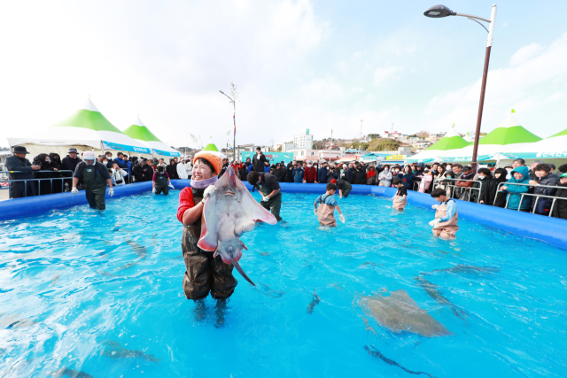 2023 죽변항 수산물축제 맨손활어잡기 체험행사에서 참가자가 직접 잡은 활어를 들어 보이고 있다. 울진군 제공