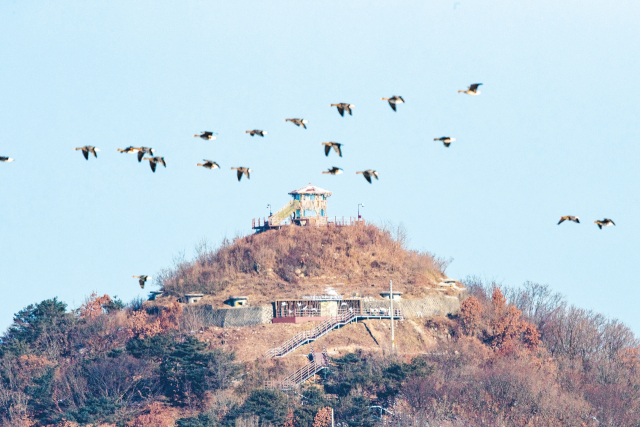 강원 철원 DMZ 평화안보관광지 삽슬봉 아이스크림 고지 전경. 강원일보 제공