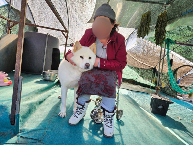 지난 22일 남기현(가명·61) 씨가 비닐하우스 안에서 반려견 몽지와 함께 시간을 보내고 있다. 윤정훈 기자