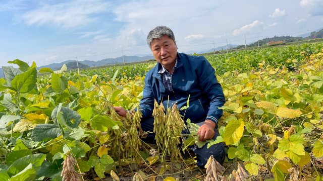 경북도는 문경시 영순면 율곡리 일대 