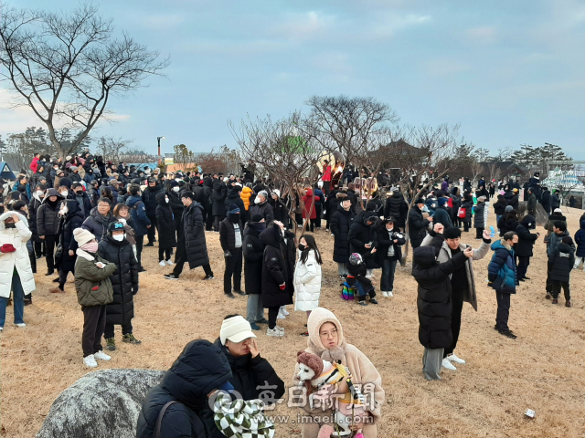 1일 경산시 삼성현역사문화공원에서 열린 갑진년 해맞이 행사에 참석한 시민들이 일출 모습을 기다리고 있다. 이날 구름으로 일출 모습은 볼 수 없어 아쉬웠지만 시민들은 저마다 소원을 빌었다.김진만 기자