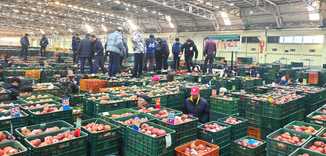 안동농협농산물공판장이 4일 올 해 첫 경매를 알리는 초매식을 가졌다. 안동농협 제공