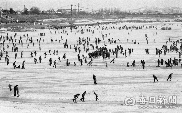 1977년 1월 23일 영하 8도의 강추위에 동촌 금호강이 꽁꽁 얼어붙자 휴일을 맞아 스케이터들이 몰려 나와 빙판위의 겨울 스포츠를 즐기고 있다. 사진=매일아카이빙센터
